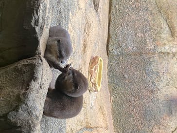 那須どうぶつ王国に投稿された画像（2020/8/14）