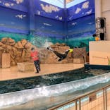 鳥羽水族館に投稿された画像（2020/8/14）