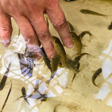 鳥羽水族館に投稿された画像（2020/8/14）