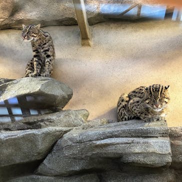 鳥羽水族館に投稿された画像（2020/8/14）