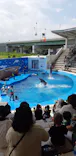 仙台うみの杜水族館に投稿された画像（2020/8/14）