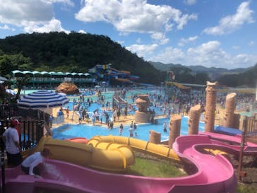 日本モンキーパークに投稿された画像（2020/8/14）