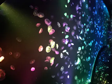 すみだ水族館に投稿された画像（2020/8/14）