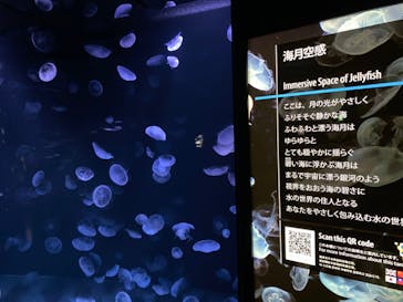サンシャイン水族館に投稿された画像（2020/8/14）