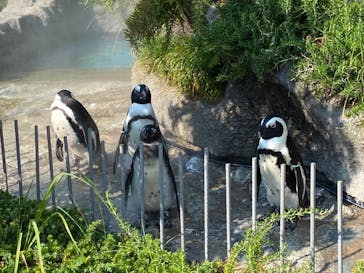 サンシャイン水族館に投稿された画像（2020/8/14）