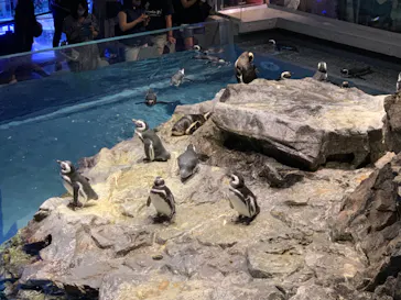すみだ水族館に投稿された画像（2020/8/14）