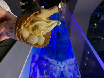 すみだ水族館に投稿された画像（2020/8/14）