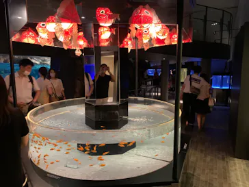 すみだ水族館に投稿された画像（2020/8/14）