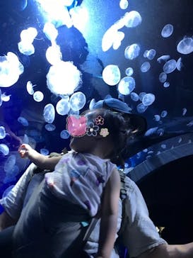 サンシャイン水族館に投稿された画像（2020/8/14）