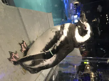 すみだ水族館に投稿された画像（2020/8/14）