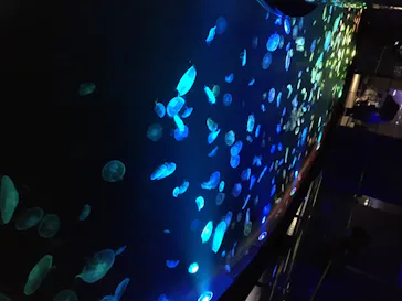 すみだ水族館に投稿された画像（2020/8/14）