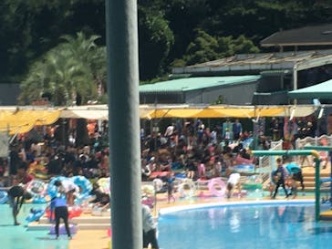 日本モンキーパークに投稿された画像（2020/8/14）