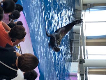 アクアワールド茨城県大洗水族館に投稿された画像（2020/8/14）