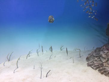 アクアワールド茨城県大洗水族館に投稿された画像（2020/8/14）