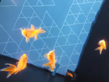 すみだ水族館に投稿された画像（2020/8/14）