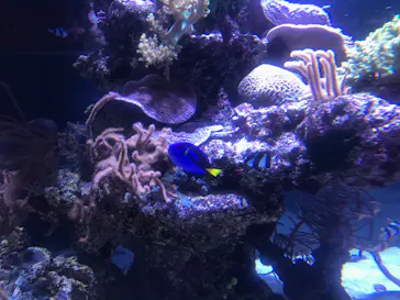 すみだ水族館に投稿された画像（2020/8/14）