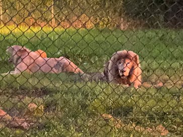 那須サファリパークに投稿された画像（2020/8/14）