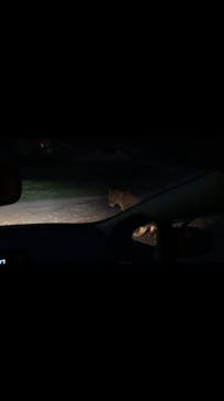 那須サファリパークに投稿された画像（2020/8/14）