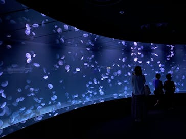 サンシャイン水族館に投稿された画像（2020/8/14）