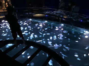 すみだ水族館に投稿された画像（2020/8/14）