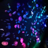 すみだ水族館に投稿された画像（2020/8/14）