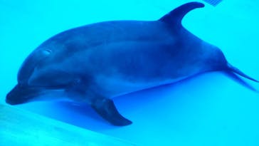 アクアワールド茨城県大洗水族館に投稿された画像（2020/8/14）