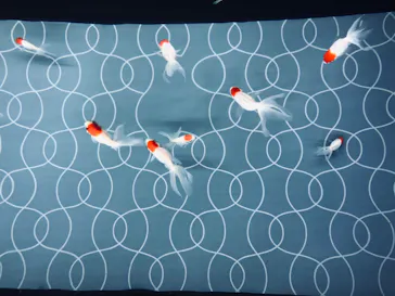 すみだ水族館に投稿された画像（2020/8/14）