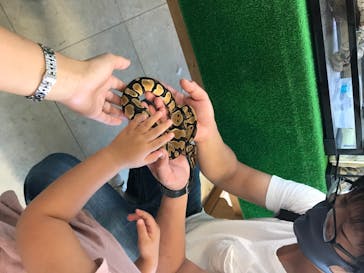 Moff animal world BIGHOPガーデンモール印西店に投稿された画像（2020/8/14）