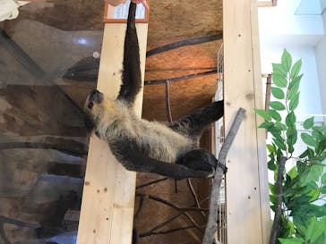 Moff animal world BIGHOPガーデンモール印西店に投稿された画像（2020/8/14）