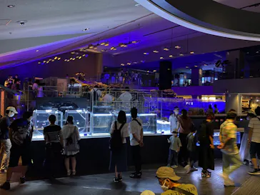 すみだ水族館に投稿された画像（2020/8/14）