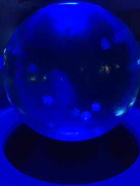 新江ノ島水族館に投稿された画像（2020/8/14）