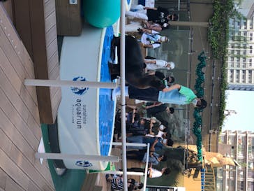 サンシャイン水族館に投稿された画像（2020/8/14）