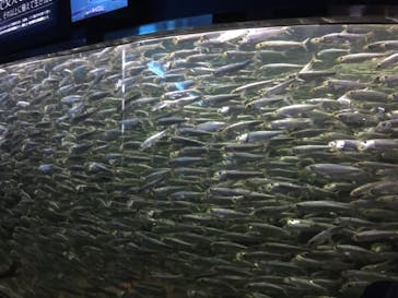 株式会社Gに投稿された画像（2020/8/14）