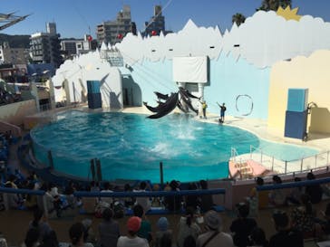 株式会社Gに投稿された画像（2020/8/14）