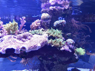 すみだ水族館に投稿された画像（2020/8/14）