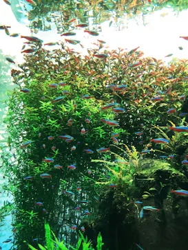 すみだ水族館に投稿された画像（2020/8/14）