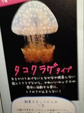 京都水族館に投稿された画像（2020/8/14）