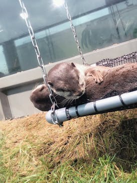 サンシャイン水族館に投稿された画像（2020/8/14）