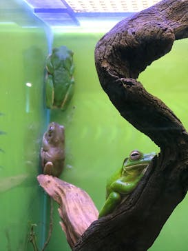 サンシャイン水族館に投稿された画像（2020/8/14）