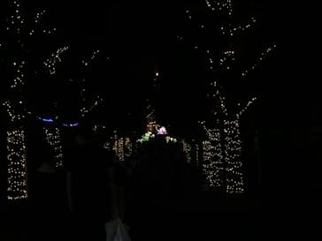 としまえんに投稿された画像（2020/8/14）