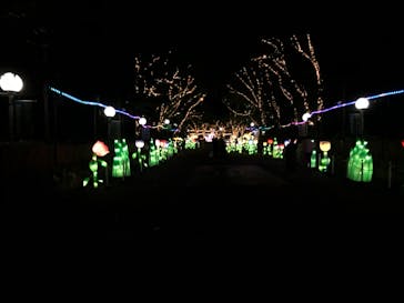 としまえんに投稿された画像（2020/8/14）