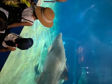 アクアワールド茨城県大洗水族館に投稿された画像（2020/8/14）