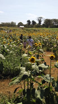 成田ゆめ牧場に投稿された画像（2020/8/14）