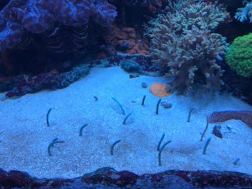 サンシャイン水族館に投稿された画像（2020/8/14）