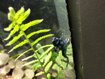 サンシャイン水族館に投稿された画像（2020/8/14）