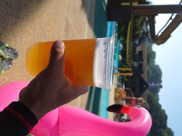 東京サマーランドに投稿された画像（2020/8/14）