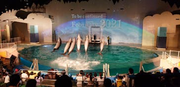 株式会社Gに投稿された画像（2020/8/14）