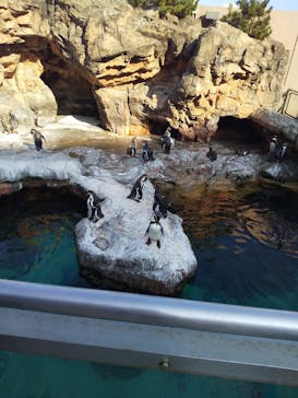 アクアワールド茨城県大洗水族館に投稿された画像（2020/8/15）