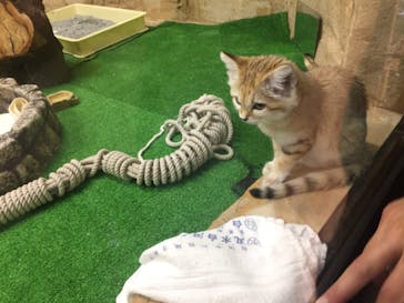 那須どうぶつ王国に投稿された画像（2020/8/15）