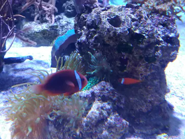 すみだ水族館に投稿された画像（2020/8/15）